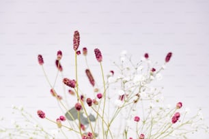 흰색과 분홍색 꽃이 가득한 꽃병