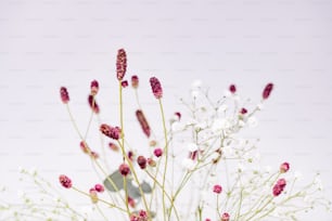 a vase filled with lots of white and pink flowers