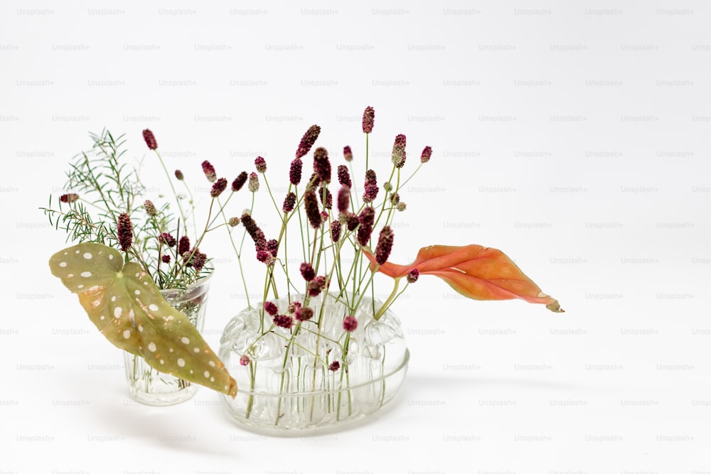 ein paar Vasen gefüllt mit verschiedenen Arten von Blumen