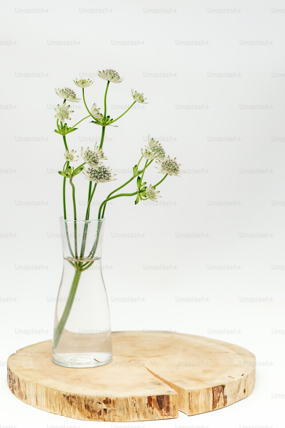 나무 테이블 위에 흰 꽃으로 가득 찬 유리 꽃병