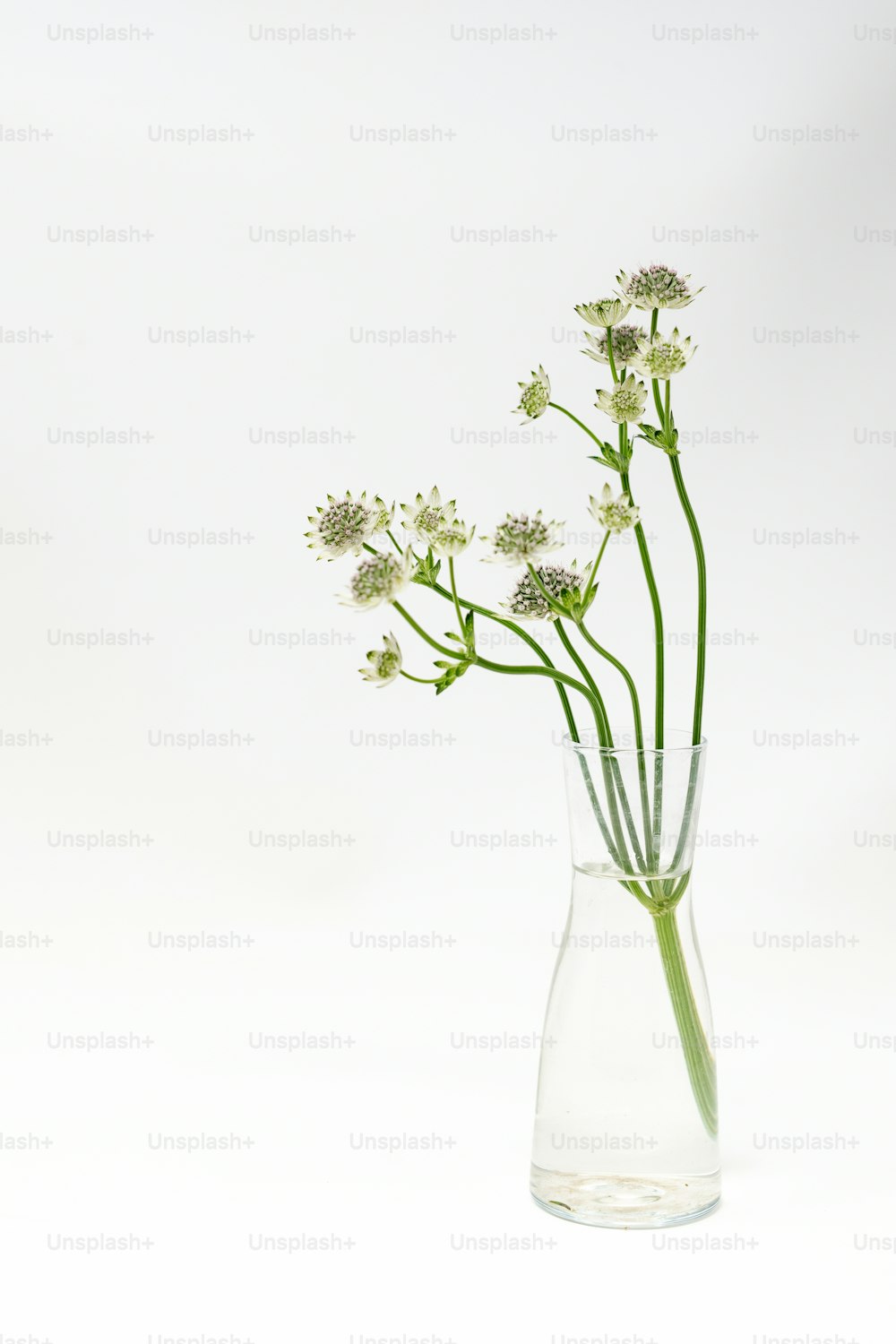 um vaso de vidro cheio de flores brancas em cima de uma mesa