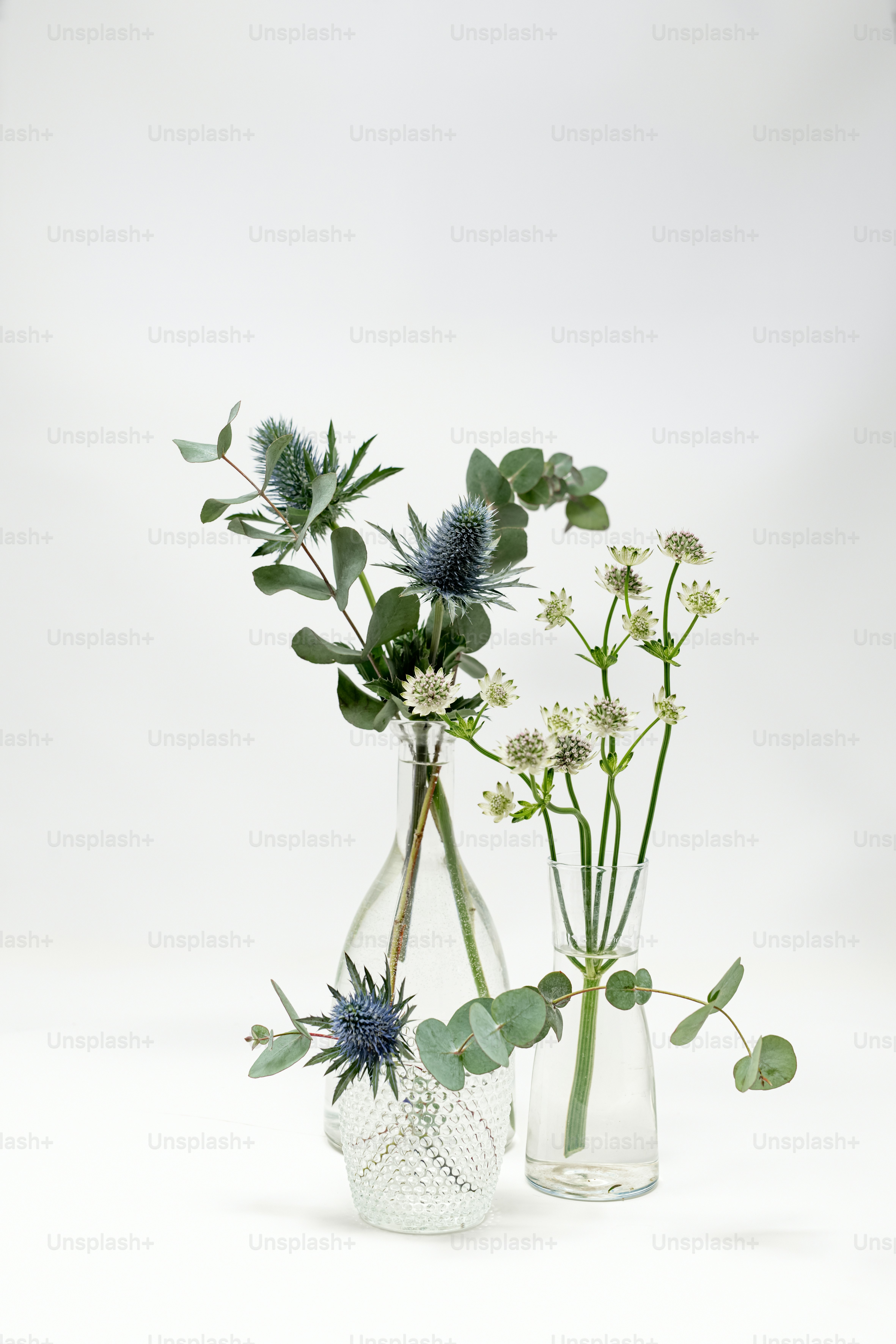 três vasos de vidro com flores e folhas neles