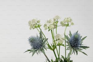 a vase filled with white and blue flowers