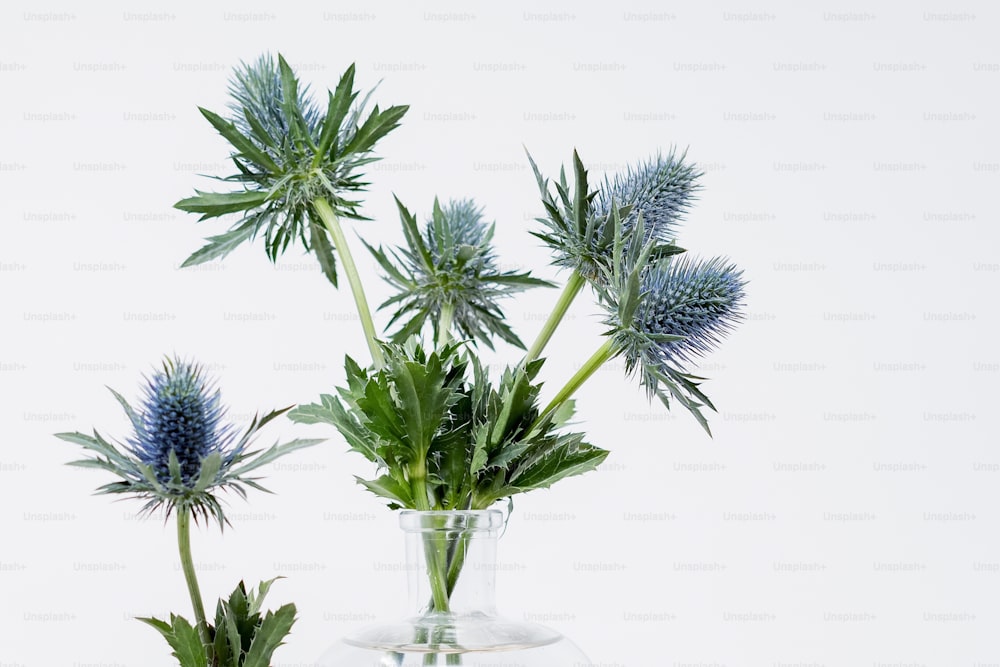 Un jarrón de vidrio lleno de flores azules encima de una mesa