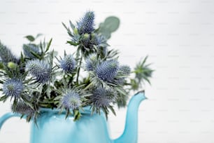 eine blaue Gießkanne gefüllt mit blauen Blumen