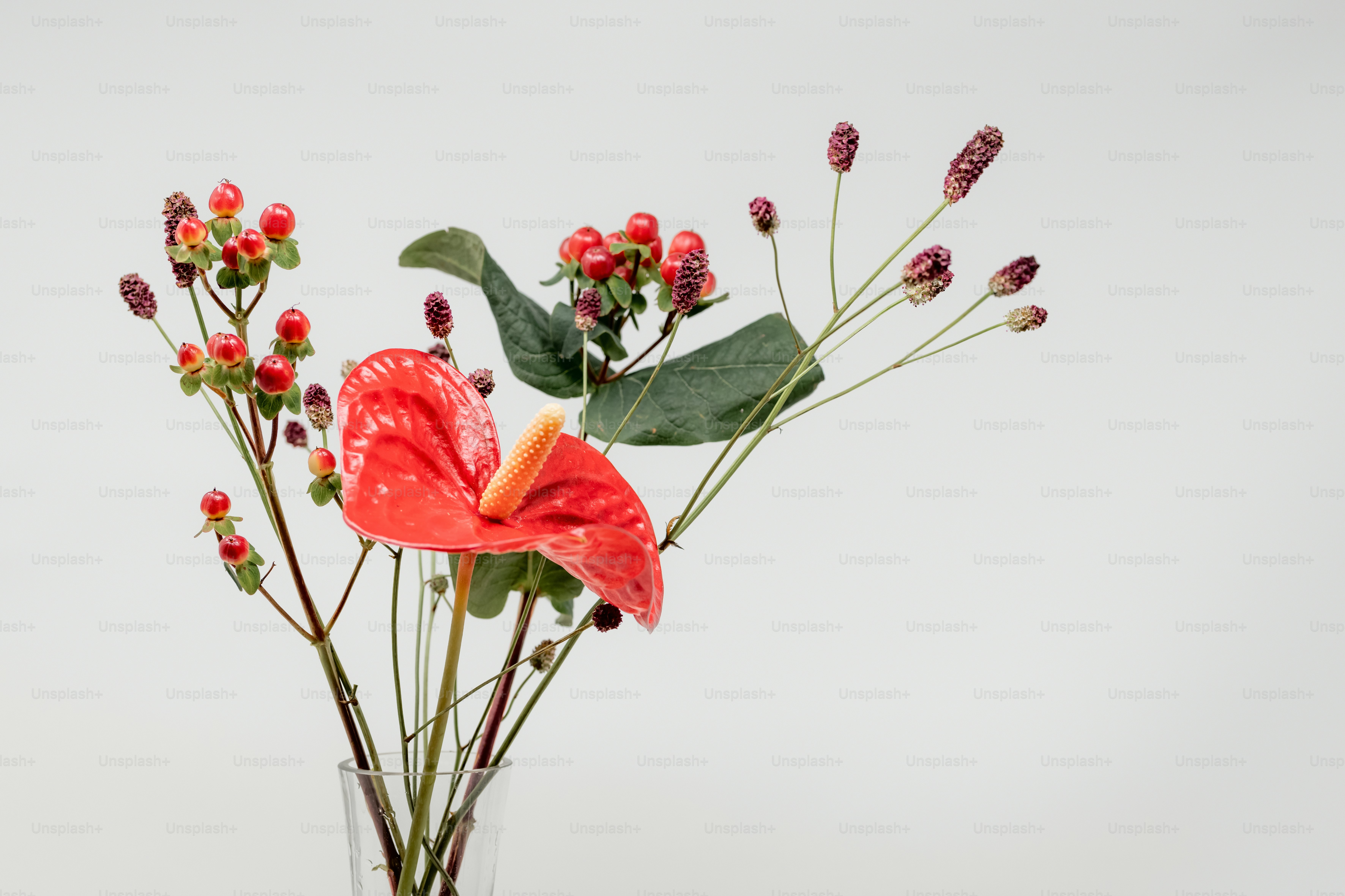 eine rote Blume in einer mit Wasser gefüllten Glasvase