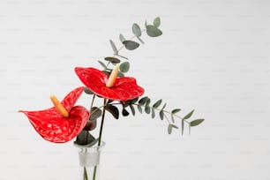 two red flowers in a vase with green leaves