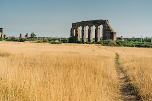 a grassy field with a stone structure in the background