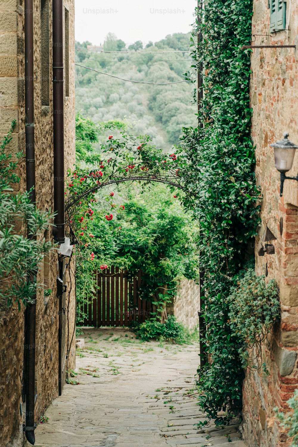 a narrow alley way with a gate and vines