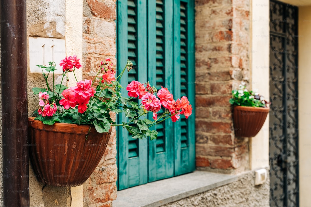 um par de flores em vaso sentado ao lado de um edifício