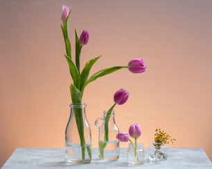 eine Gruppe Vasen mit Blumen darin
