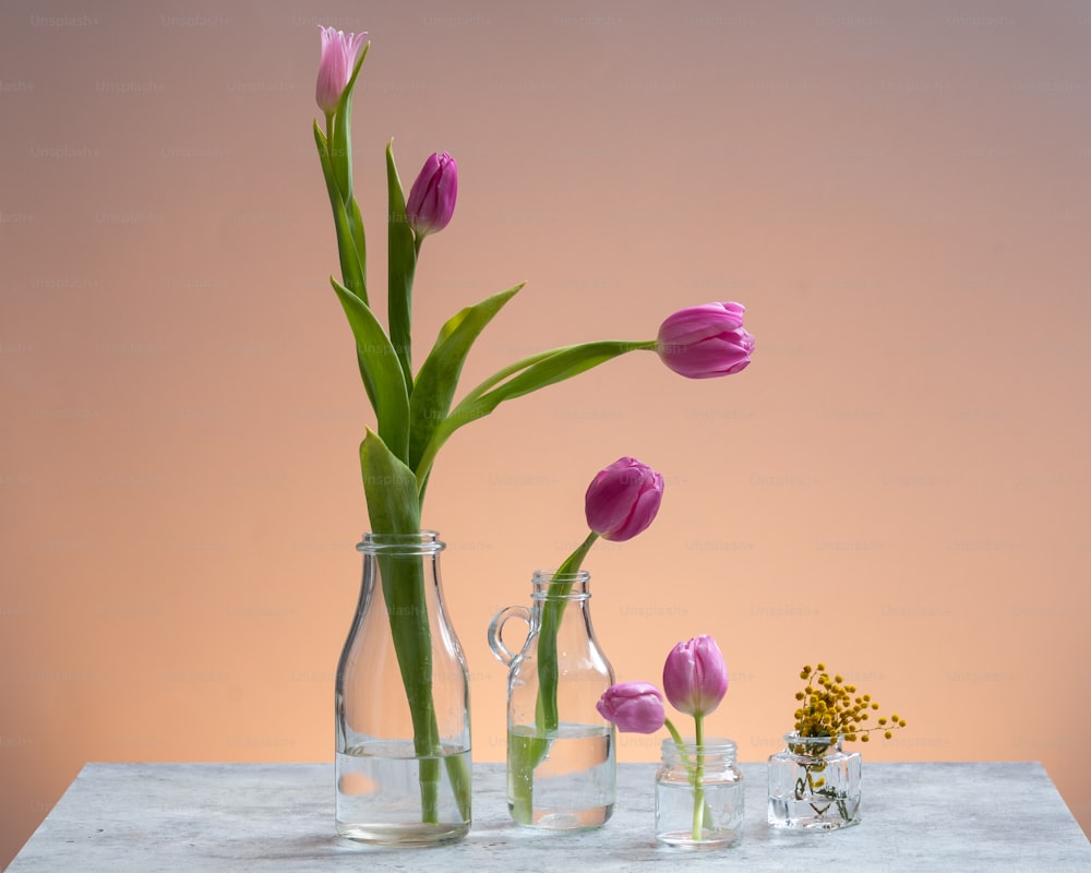 un groupe de vases avec des fleurs dedans