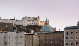 a view of a city with a castle in the background