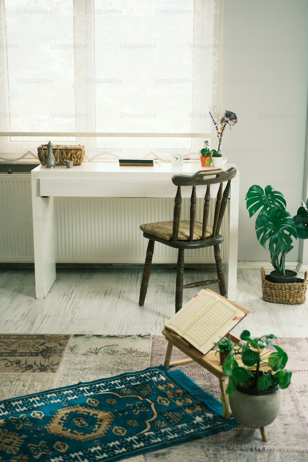 a room with a desk, chair, rug and potted plant