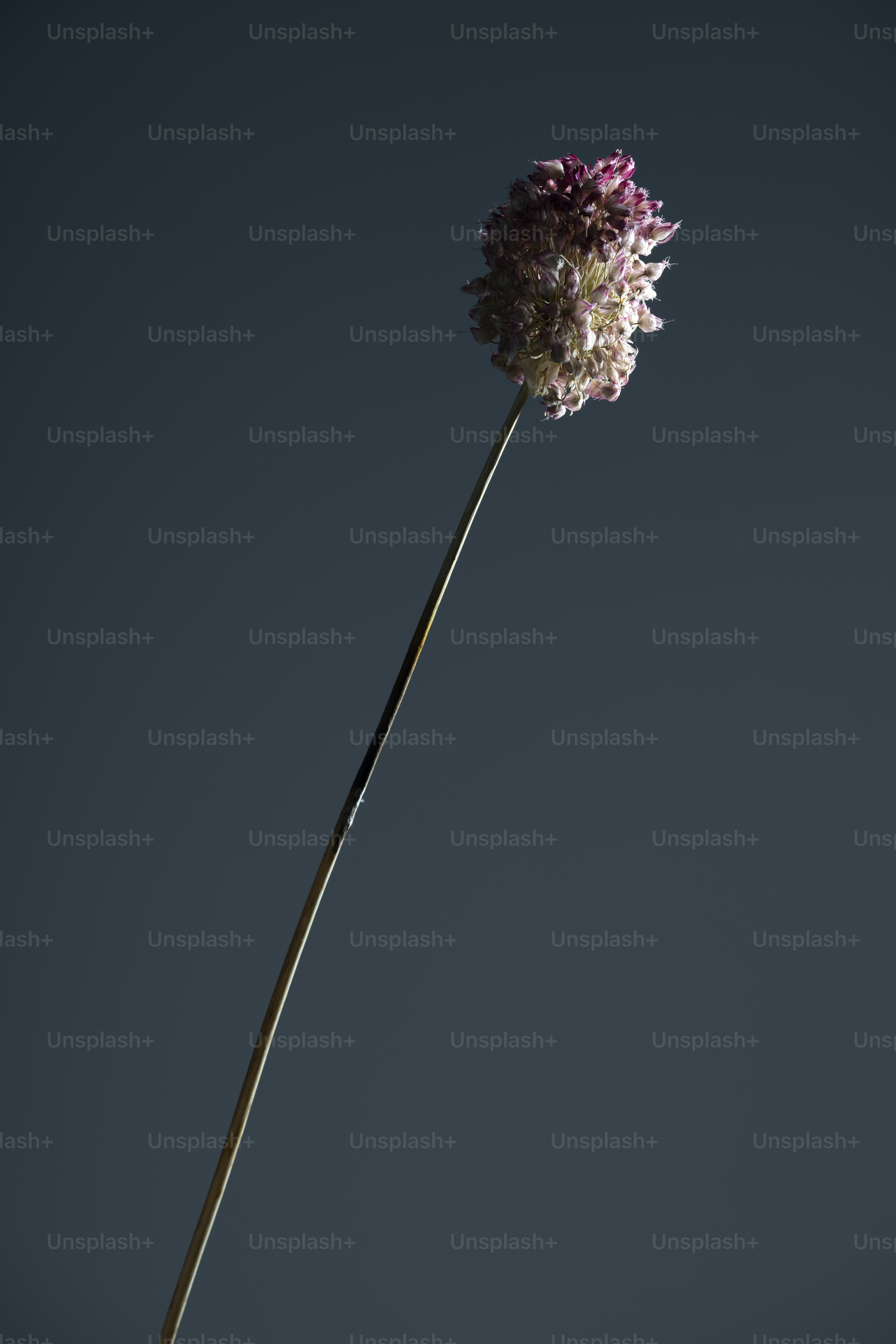 テーブルの上の花瓶にある花