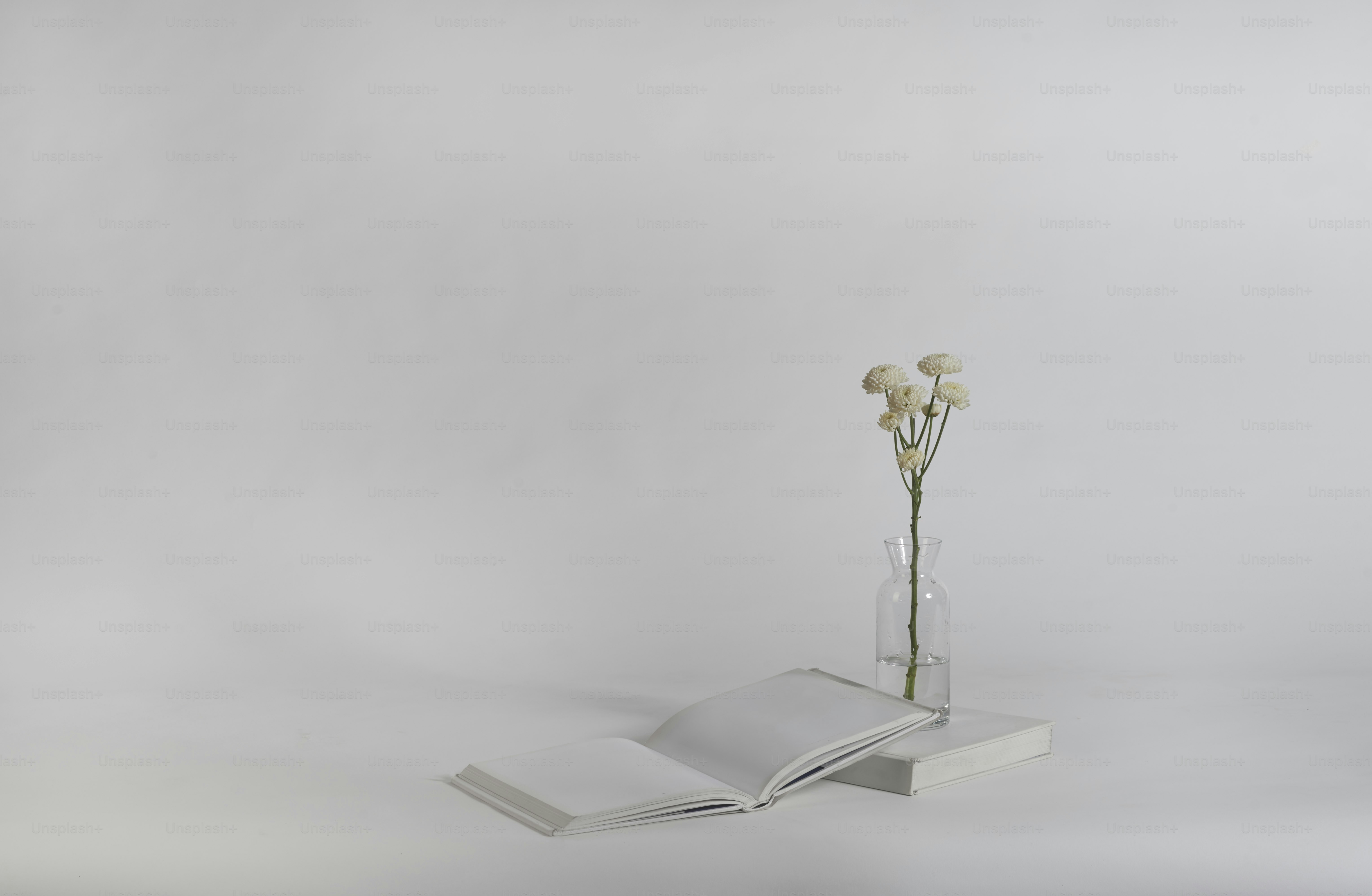 A book and a flower in a vase photo – Flowers Image on Unsplash