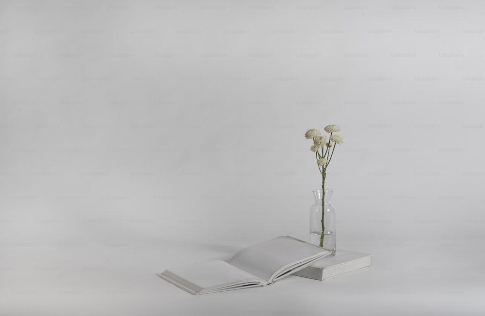 Un libro y una flor en un jarrón