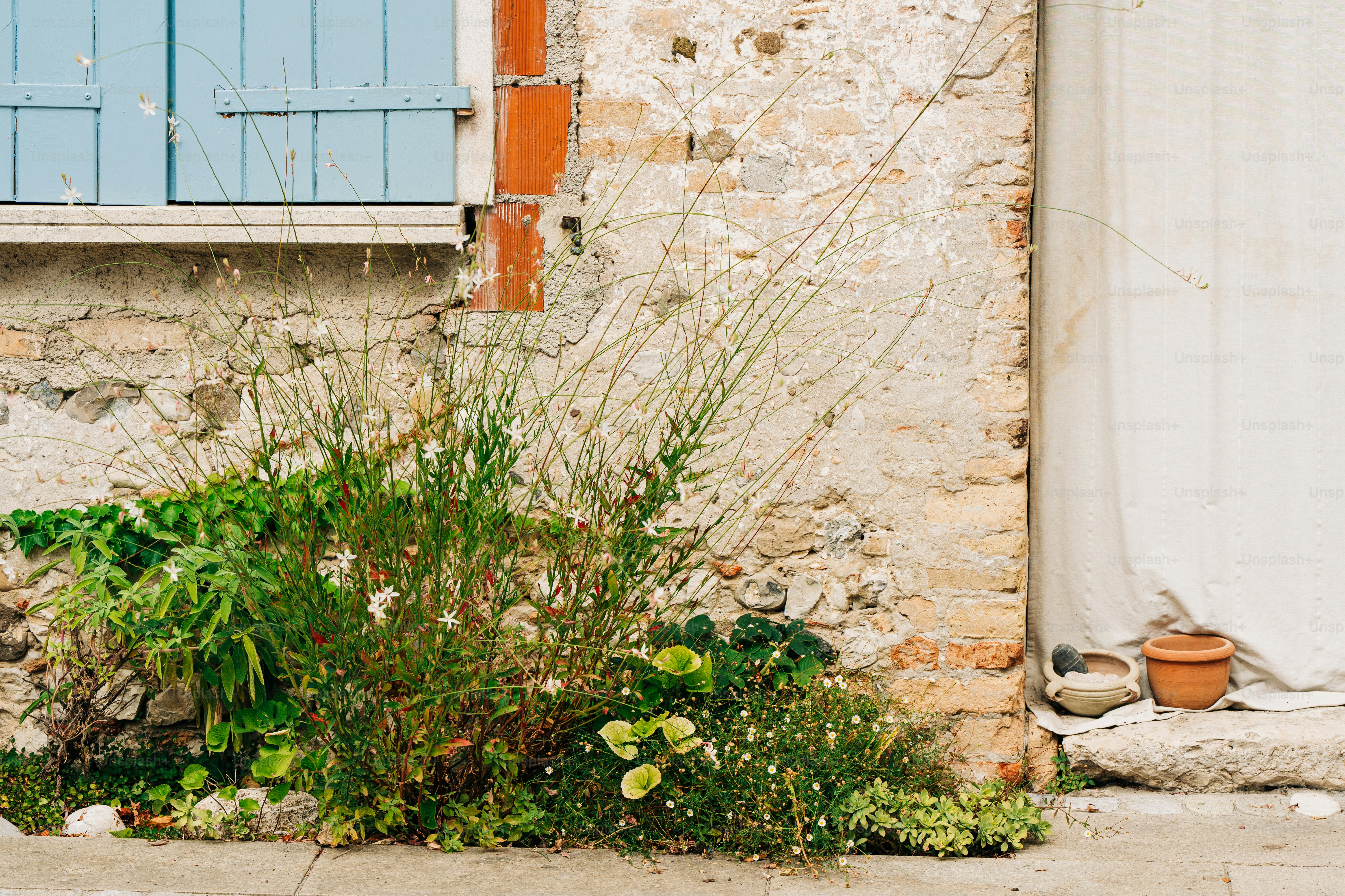 a cat sitting on the sidewalk next to a building