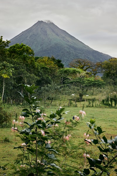 Route sinueuse du Nord Martinique