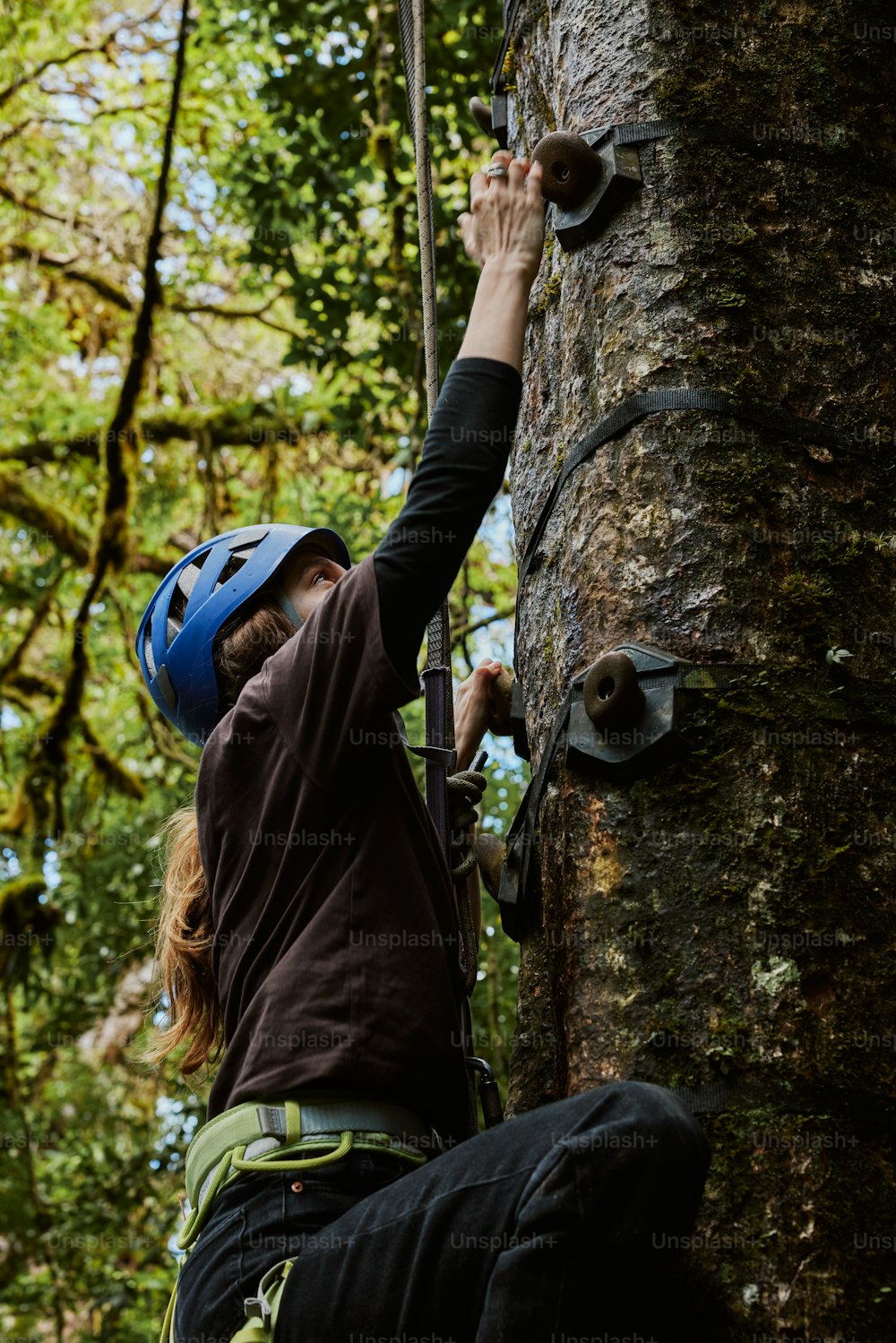 a man climbing up the side of a tree