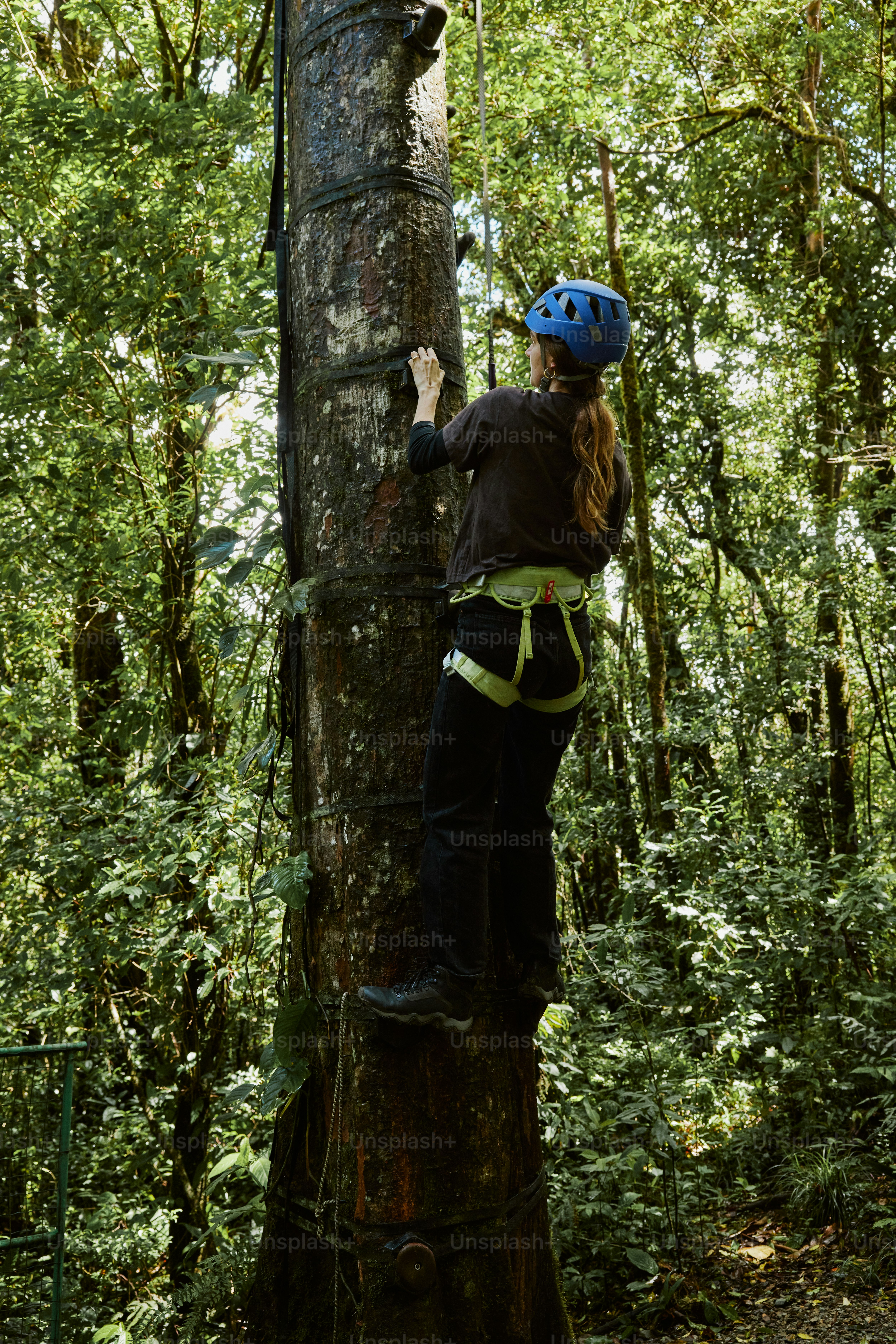 a woman climbing up a tree in the forest
