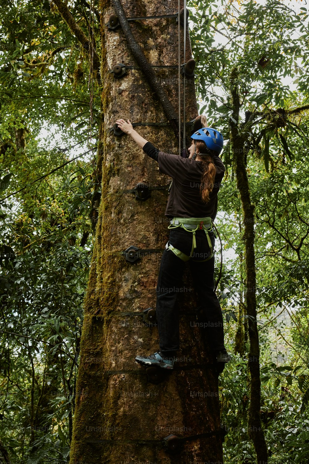 a woman climbing up a tree in the forest