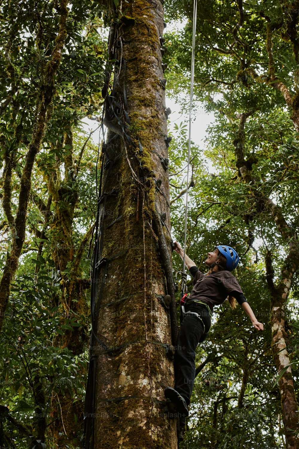 a man climbing up the side of a tree