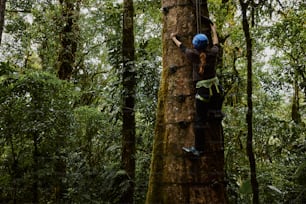 a man climbing up the side of a tree in a forest