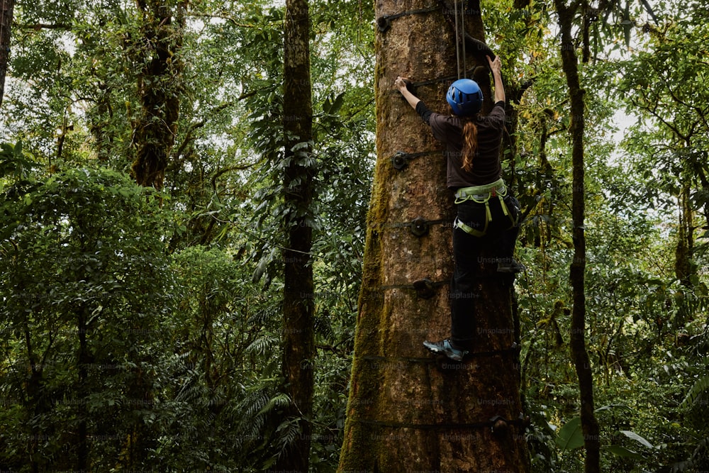 a man climbing up the side of a tree in a forest