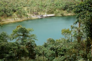 um corpo de água cercado por árvores e uma floresta