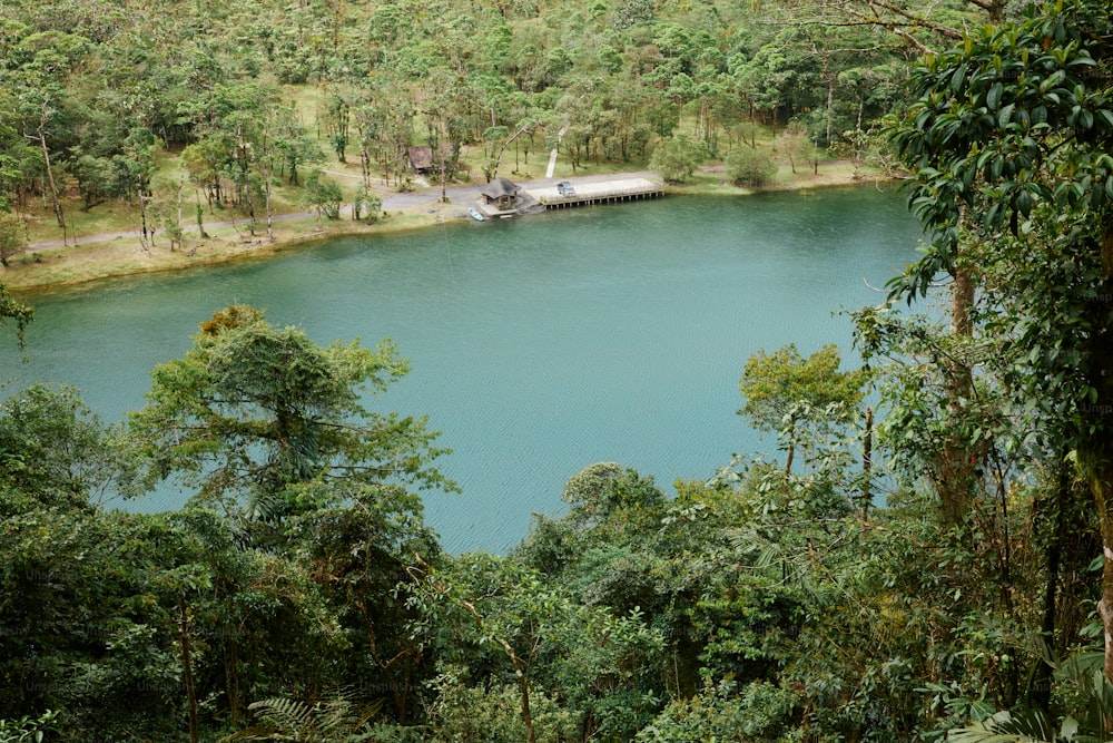 un plan d’eau entouré d’arbres et une forêt