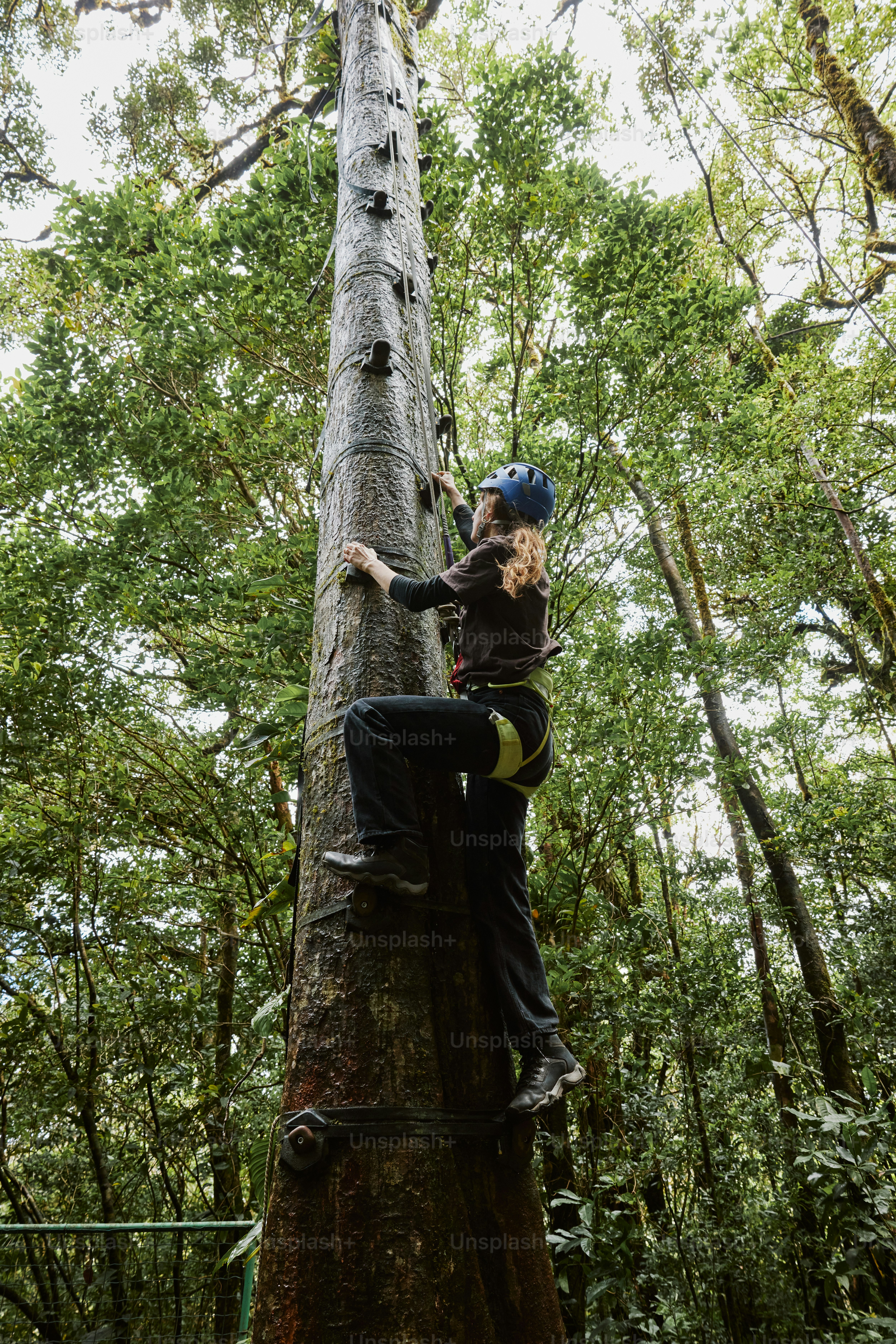 a woman climbing up the side of a tree