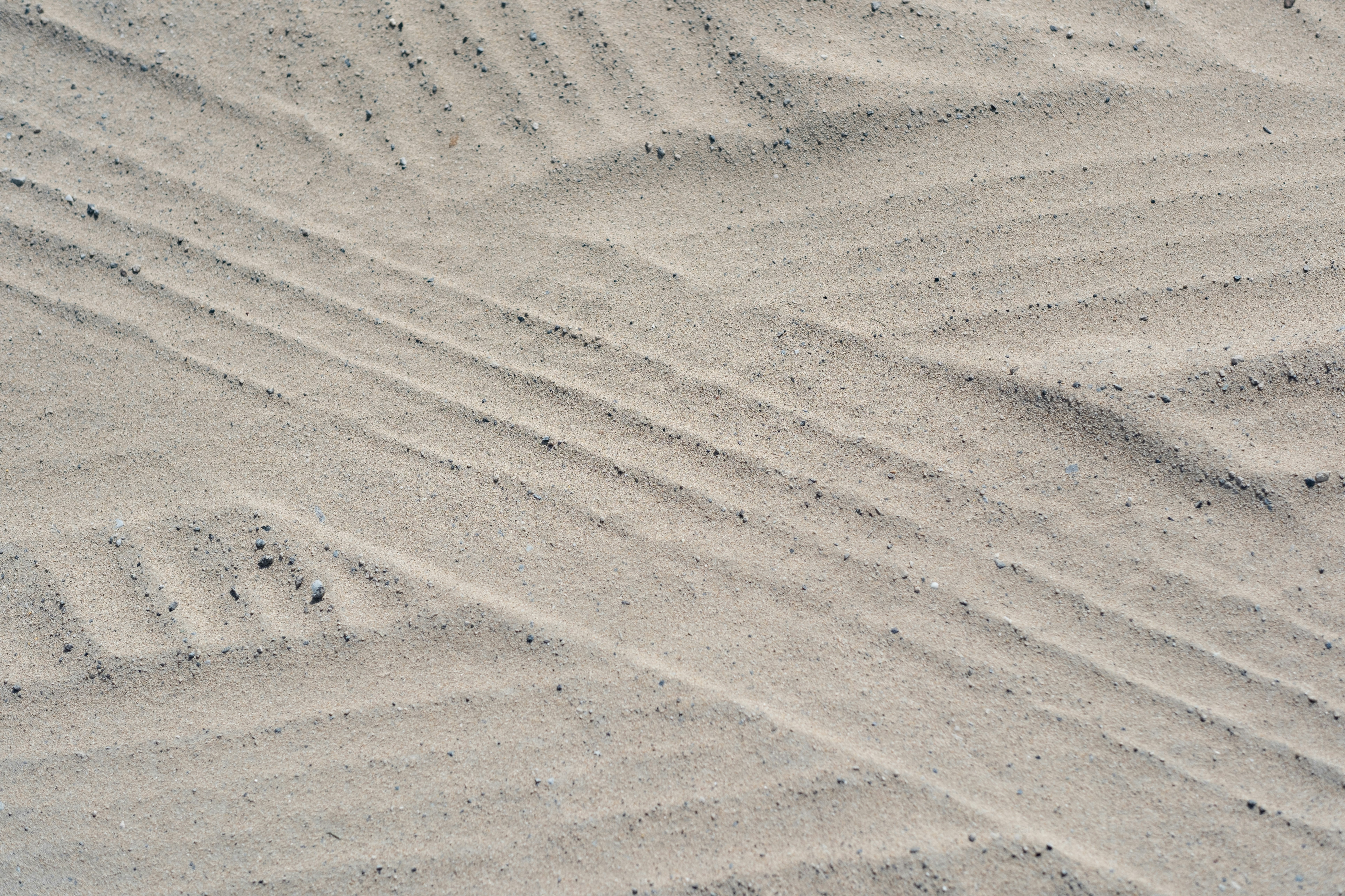 a bird standing on top of a sandy beach
