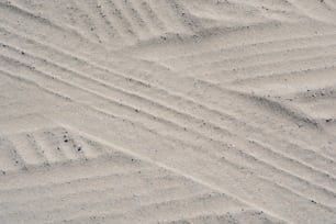 a bird standing on top of a sandy beach