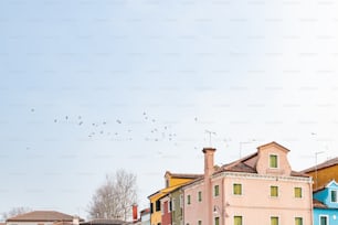 um bando de pássaros voando sobre uma fileira de casas