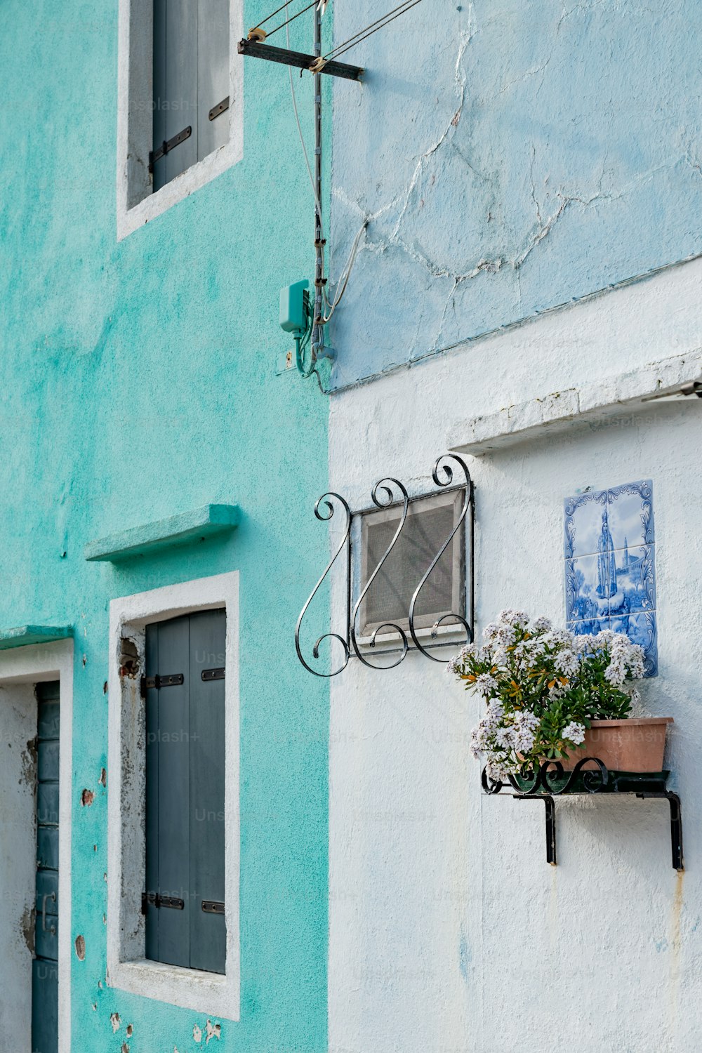 a blue and white building with a potted plant