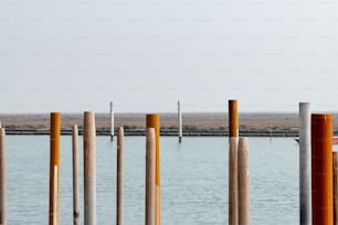 Una fila de postes sentados junto a un cuerpo de agua