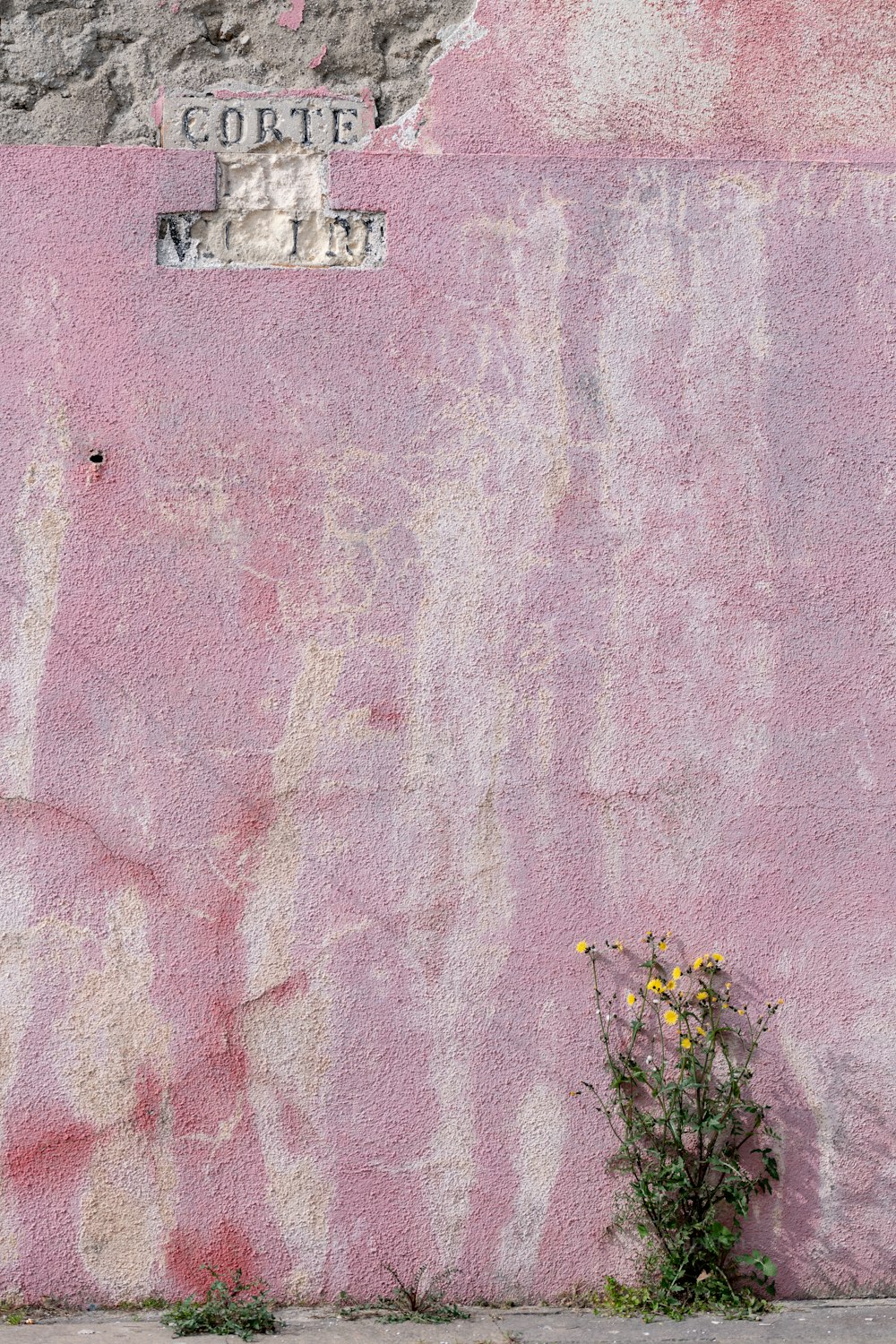 un mur rose avec un panneau de rue dessus