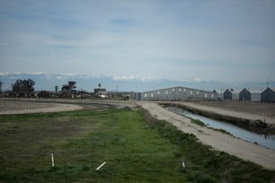 緑豊かな野原を流れる川