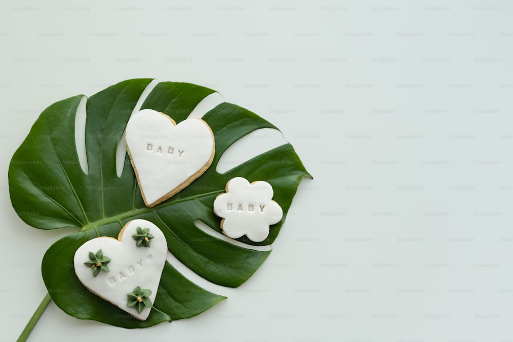 a green leaf with some cookies on it