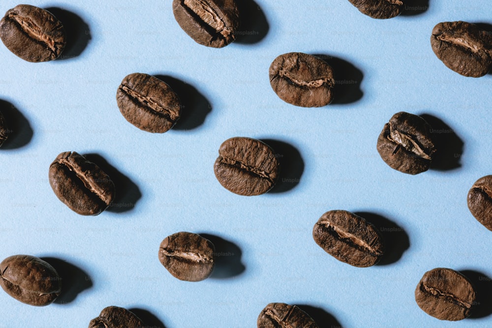 a bunch of chocolate cookies on a blue surface