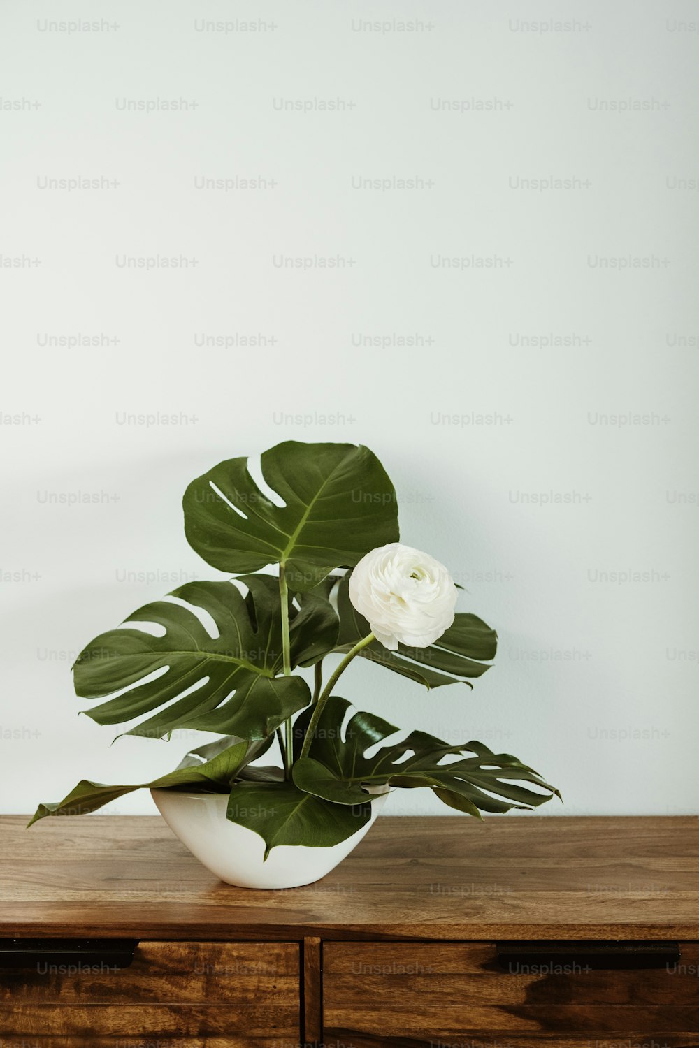 a white flower in a white vase on a wooden table