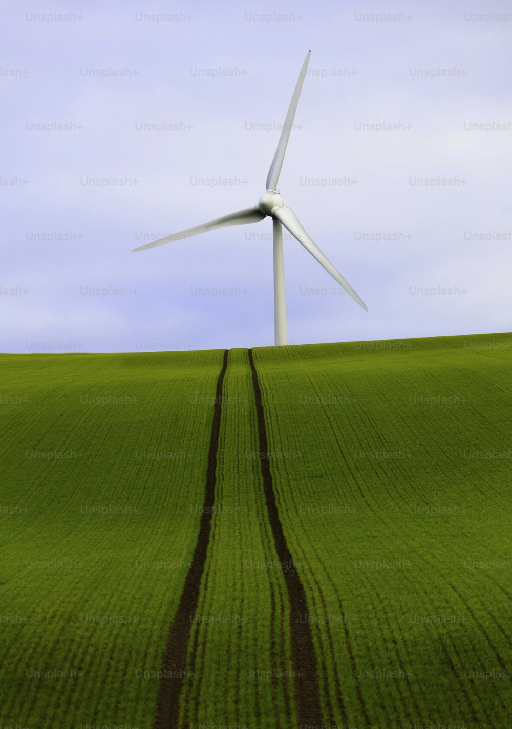 Una turbina eólica en la cima de un campo verde