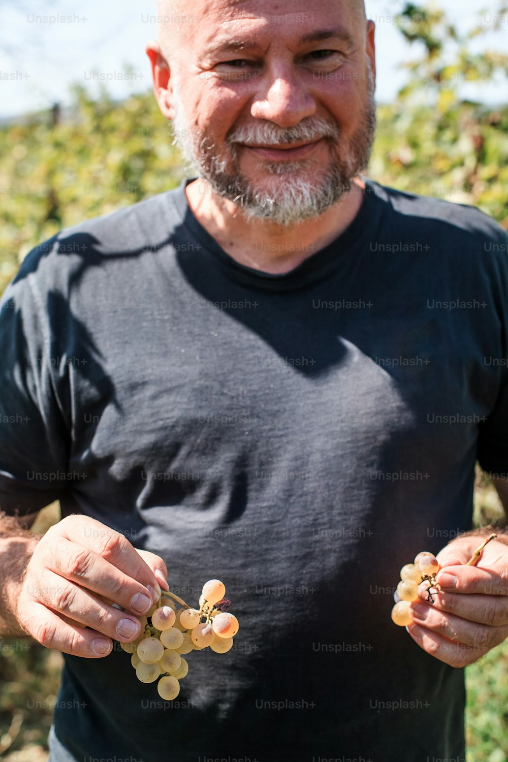 a man holding a bunch of grapes in his hands