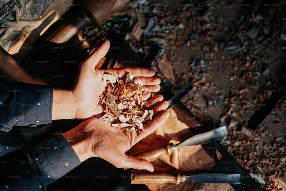 a person holding a handful of wood in their hands