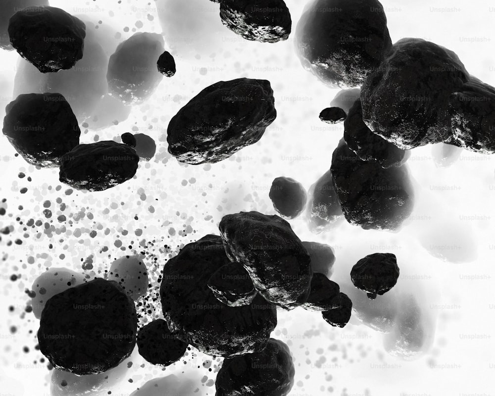 Una foto in bianco e nero di alcune rocce