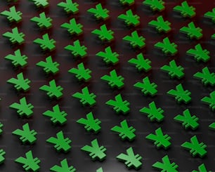 Un gran grupo de cruces verdes sobre una superficie negra