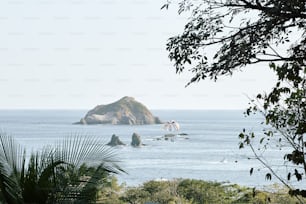 a body of water surrounded by trees and rocks