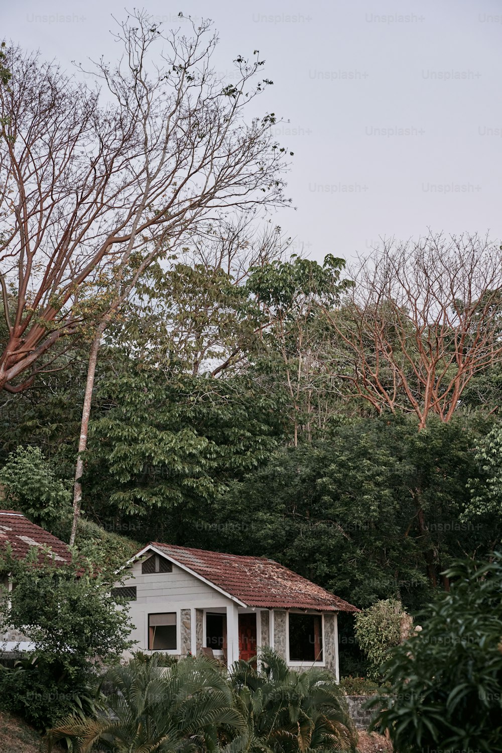 a small white house sitting in the middle of a forest