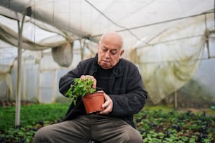 a man kneeling down in a greenhouse holding a potted plant